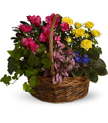 Blooming Garden Basket from Beck's Flower Shop & Gardens, in Jackson, Michigan